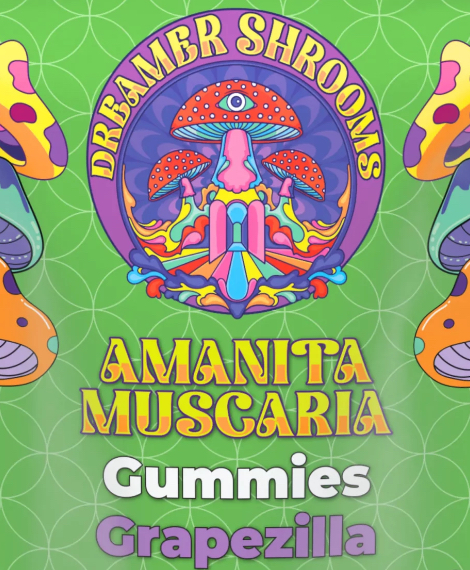 Mushroom-branded product package 3