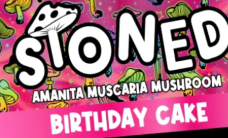 Birthday Cake Amanita candy branding